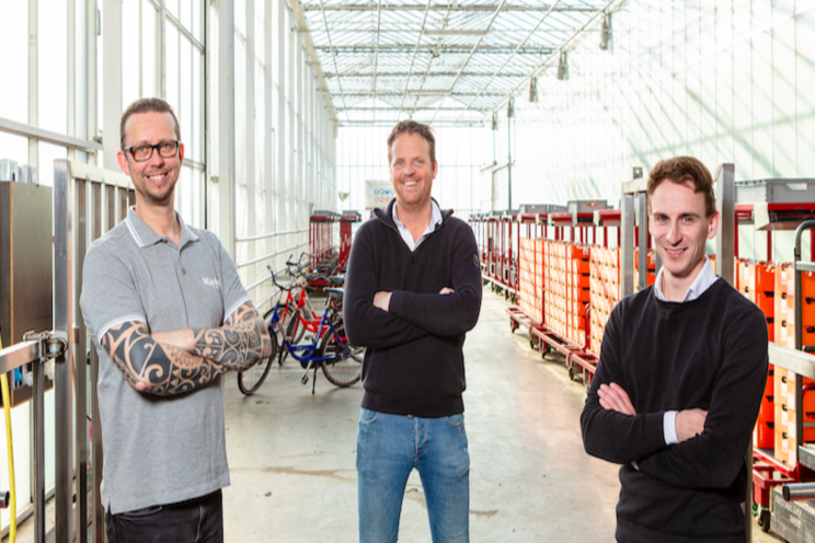 Five tomato growers choose Service Engine of Royal Brinkman