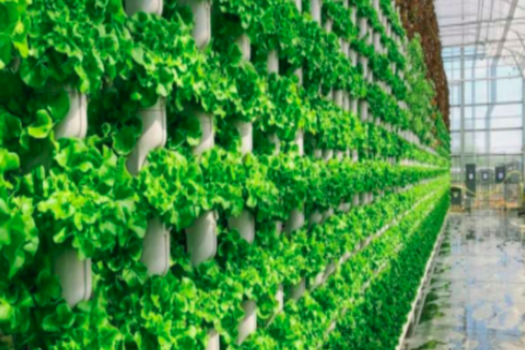 Government issues vertical farming call