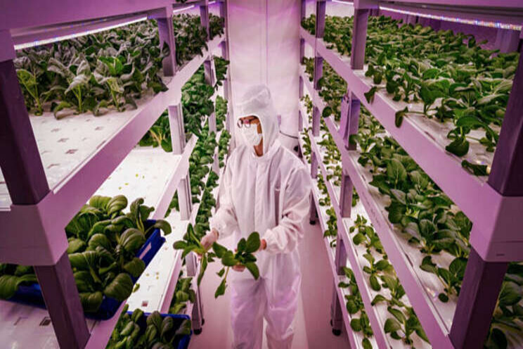 High-tech farming future?