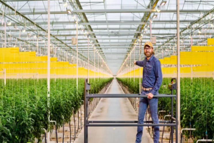 The largest greenhouse in The US is using 90% less water