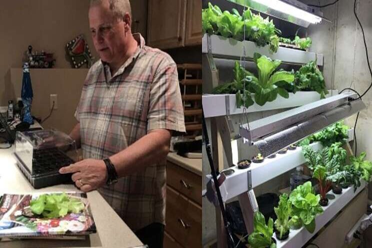 Hydroponics a growing trend for raising food year-round