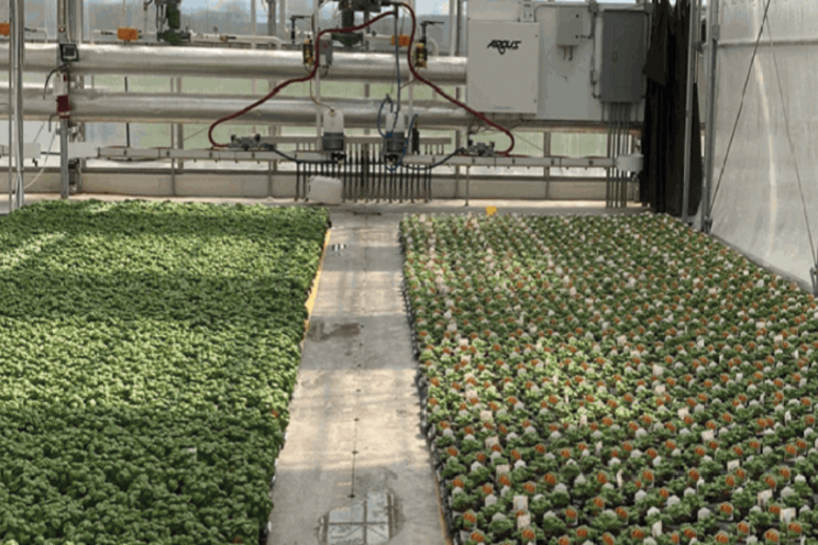 How large greenhouses can utilize environmental controls