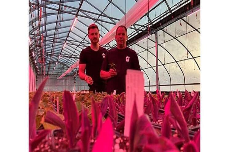 Ontario grower gains precision using supplemental grow lights