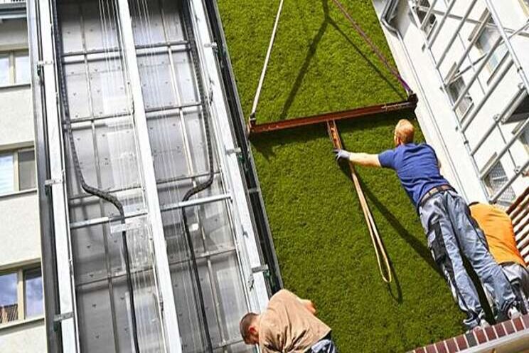 Green walls for fighting climate change