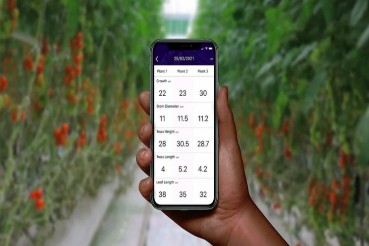 Moving tomatoes into next-gen tech Crop Registration