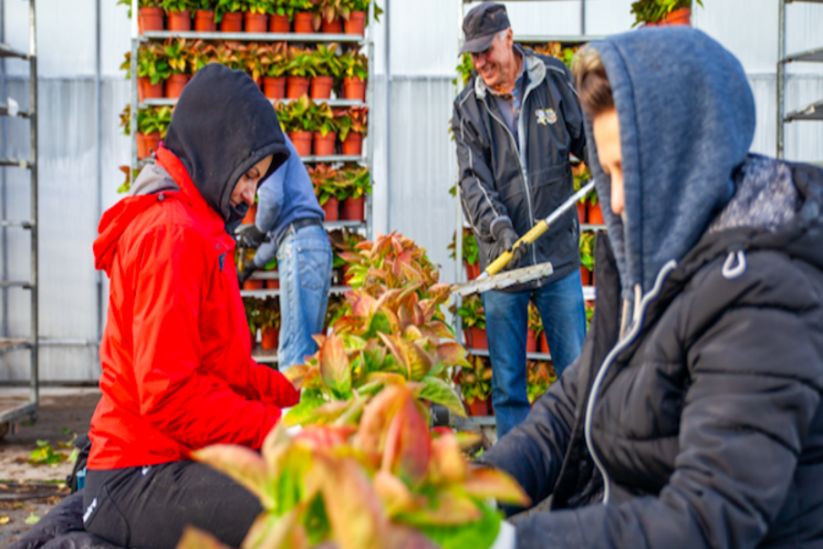 'The power of digital time registration in greenhouses'