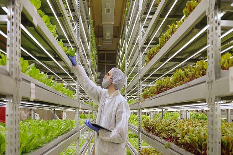 Vertical Farms vs Greenhouses- The first consideration: Location