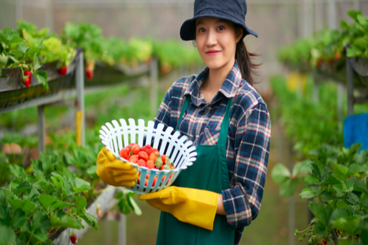 Merchandising greenhouse-grown produce for more sales