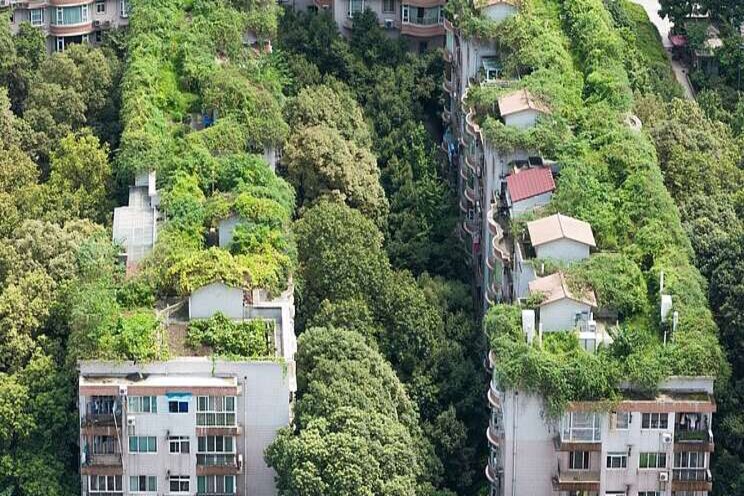 The green city of the future