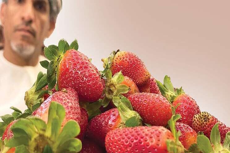 Now 'Made in Oman' strawberries!