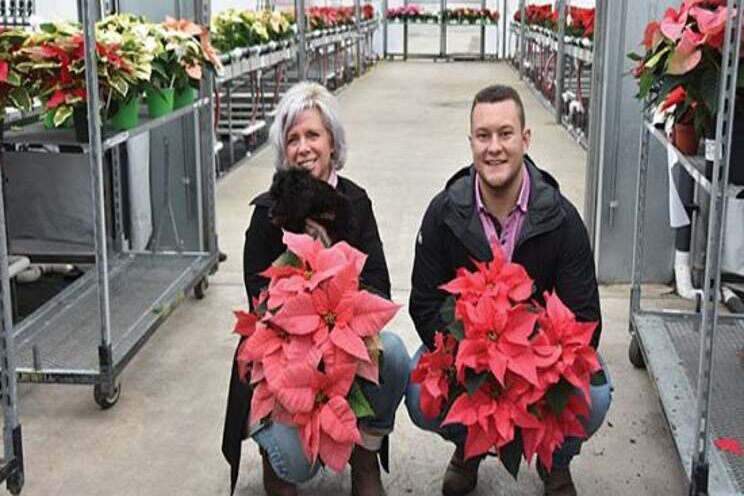 Lessons from the 2020 poinsettia season