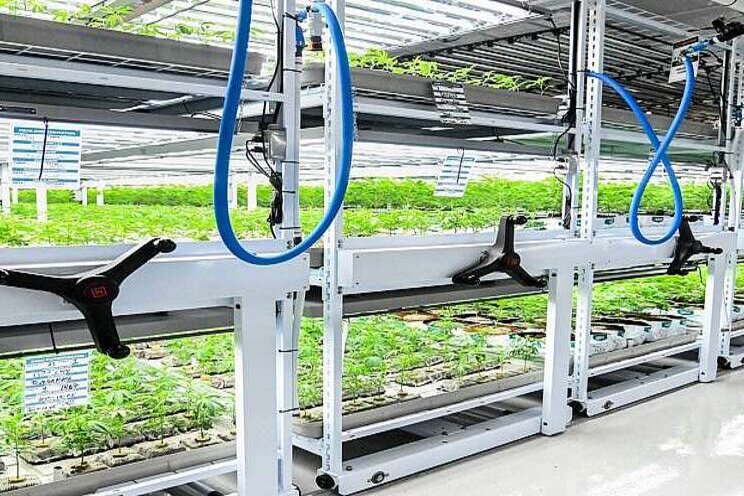 Emerging needs in vertical farming and cannabis cultivation