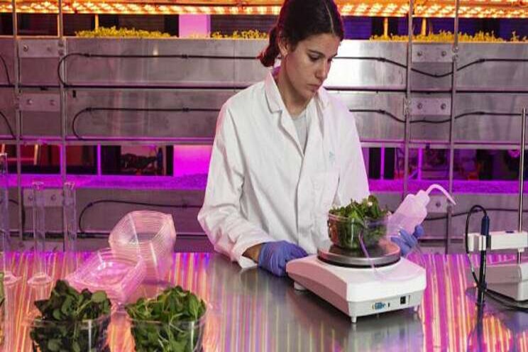 Vertical farm for vegan innovation