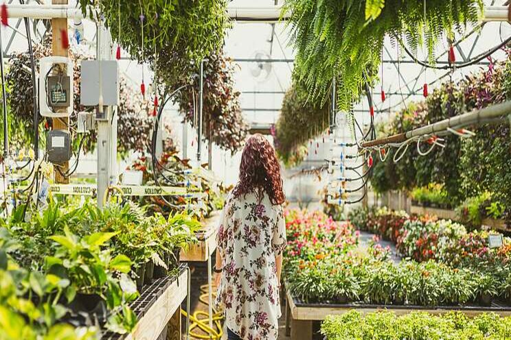 Strategies to grow your greenhouse business in 2021