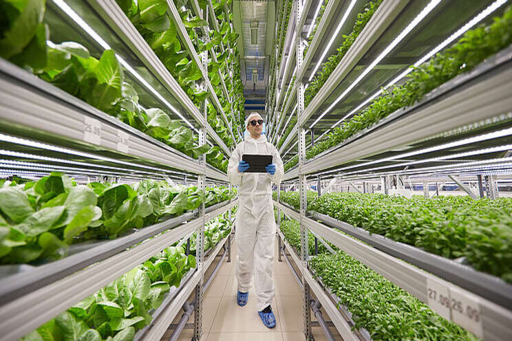 Yasai to establish first Zrich Vertical Farm 