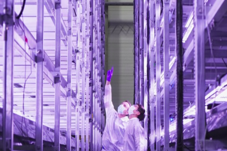 Wind-powered vertical veggie farm harvests first crops