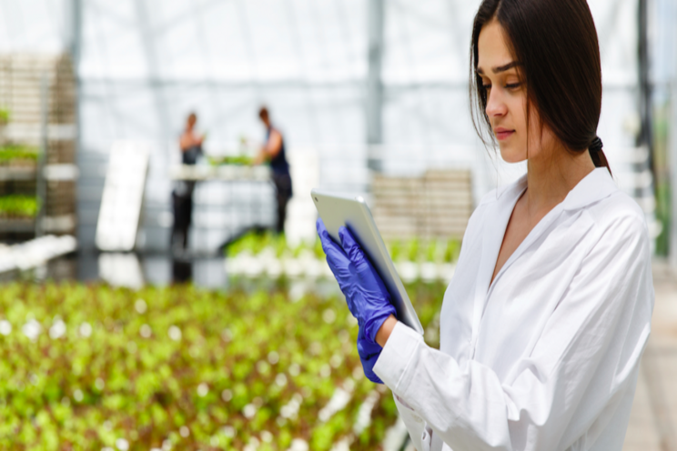 Mobile app helps farmers monitor mental health