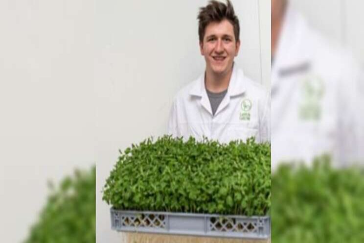 Getting into vertical farming -Part 1