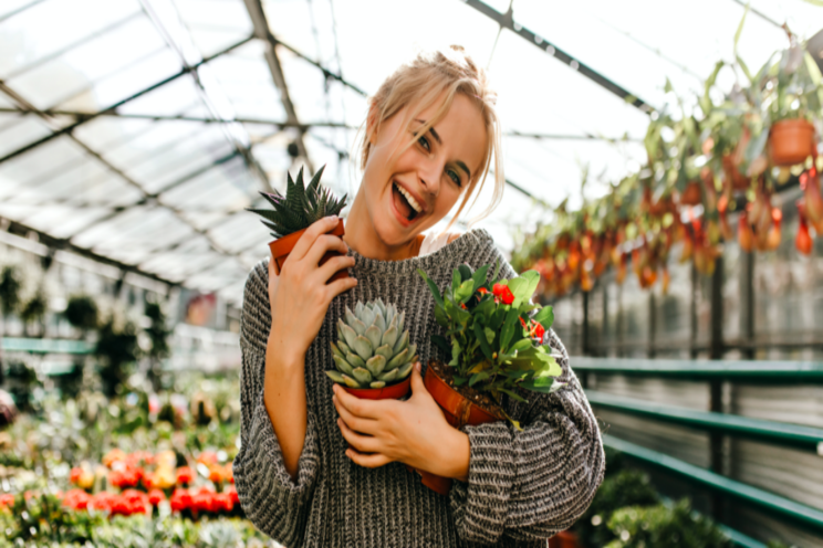 When & how to use Epsom salt on plants