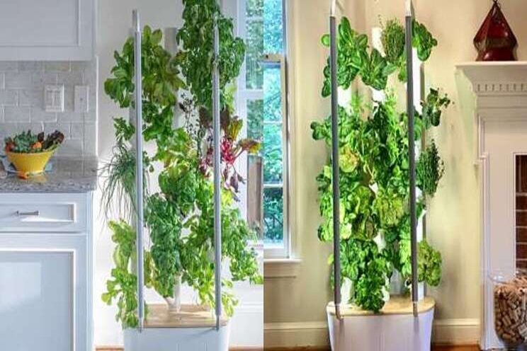 This vertical garden device makes indoor gardening possible