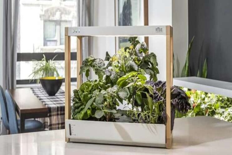 Indoor smart garden with Alexa integration - Hortimedia