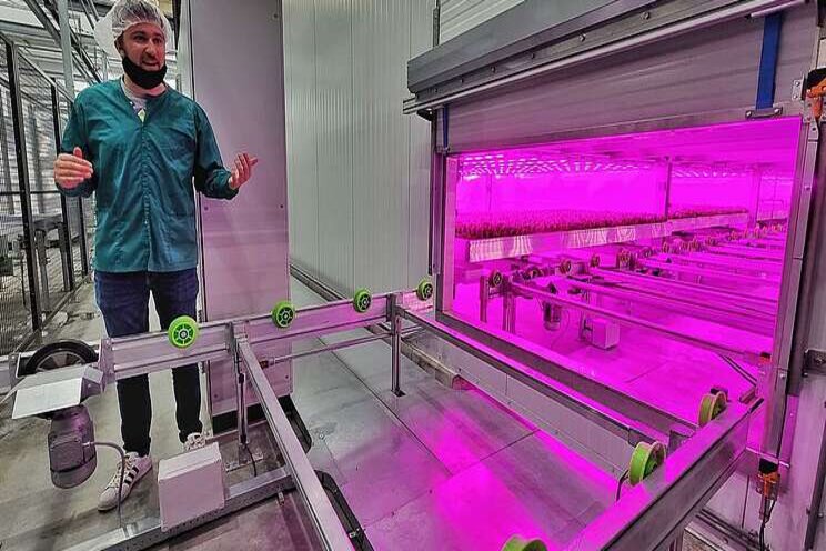 Gigantic indoor growing farm opens