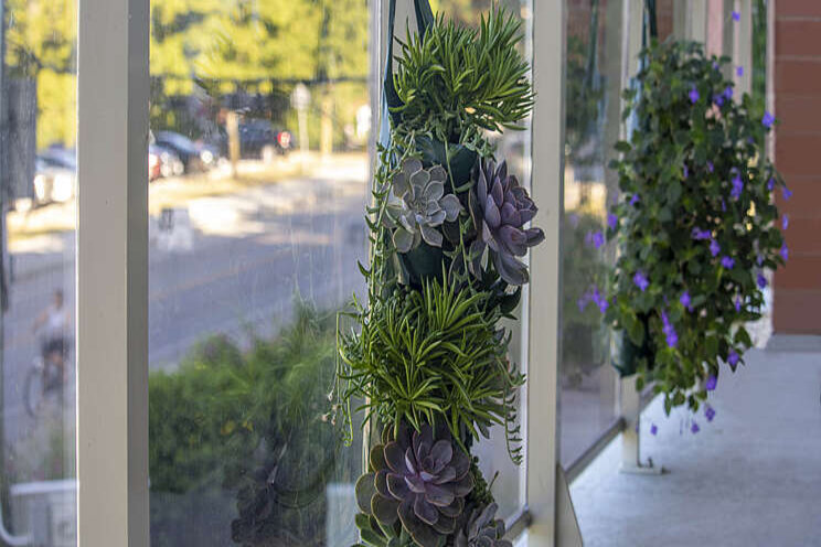 Growing interest in vertical gardening