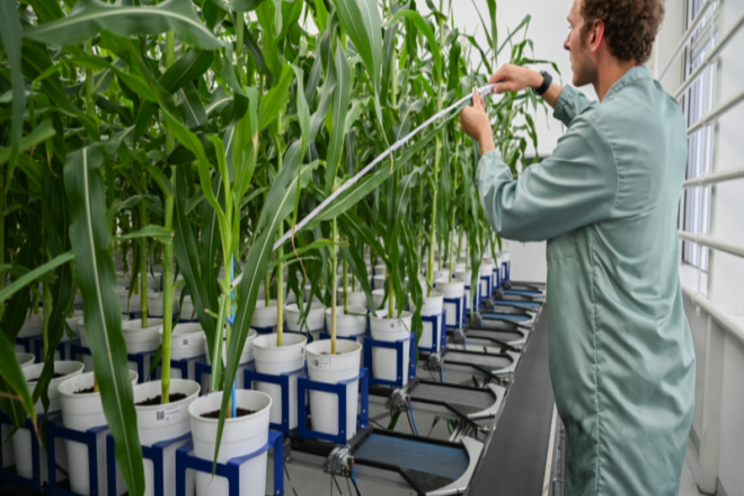 The first agricultural biotechnology incubator