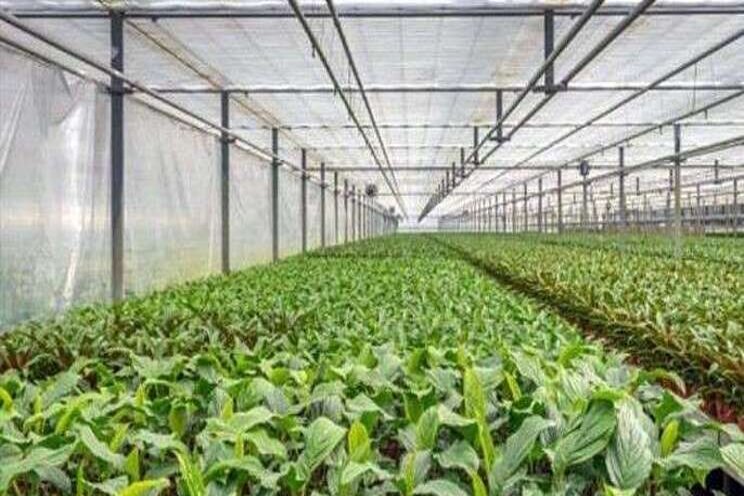 Greenhouse villages to sprout in Metro Manila