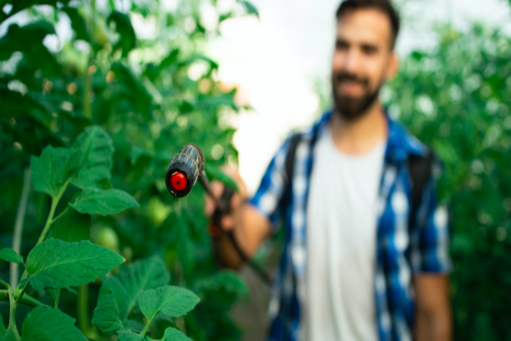 Harness pheromones for sustainable pest control