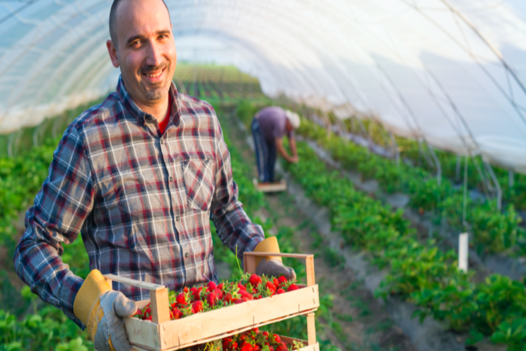 PMRA expands use of biofungicide on greenhouse crops