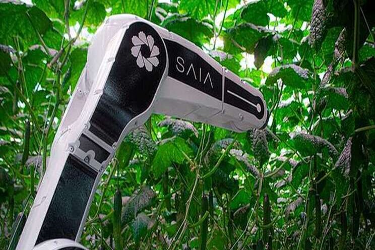 Dutch robotics company developing leaf cutting robot