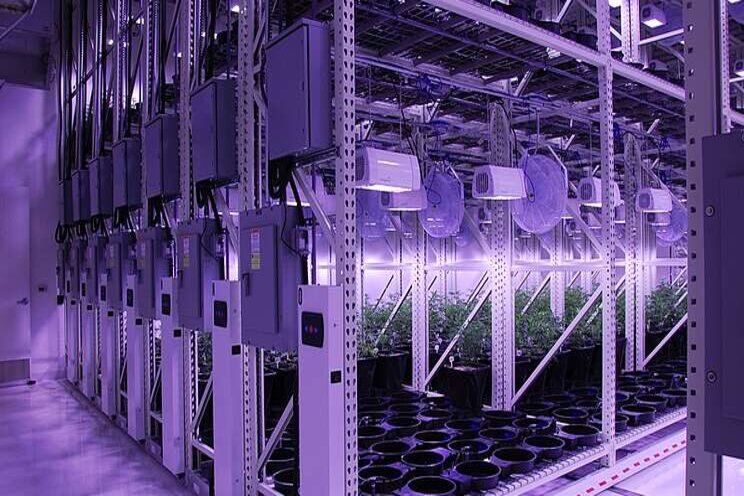 Never forget the horizontal in vertical farming