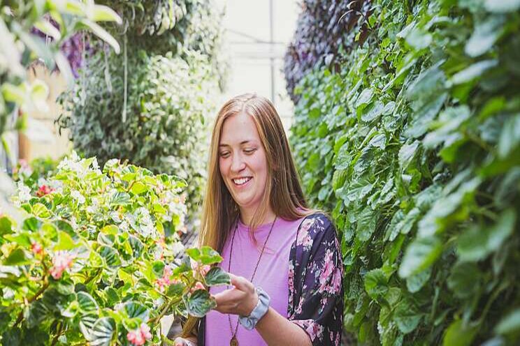 New collaboration on begonia breeding