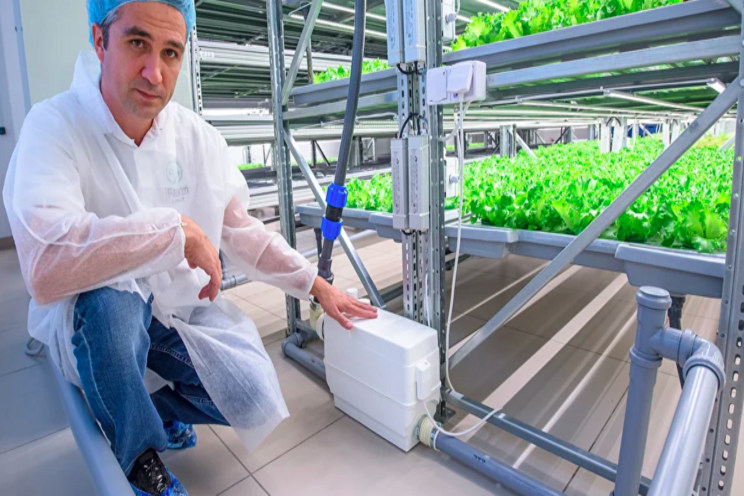 How much electricity does a vertical farm use?