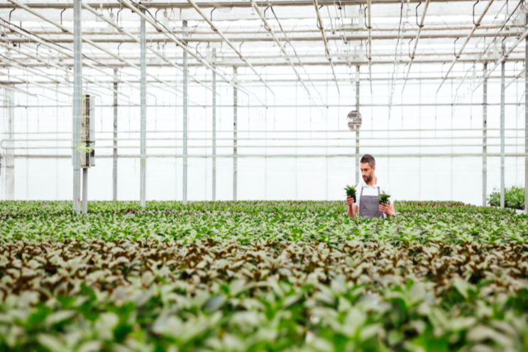 $7M raised for LUNA platform by commercial greenhouses