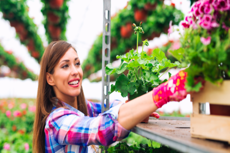 Horticulture as an agricultural commodity