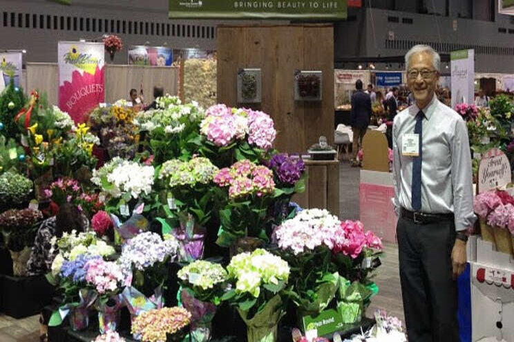 Syngenta Flowers purchases hydrangea genetics