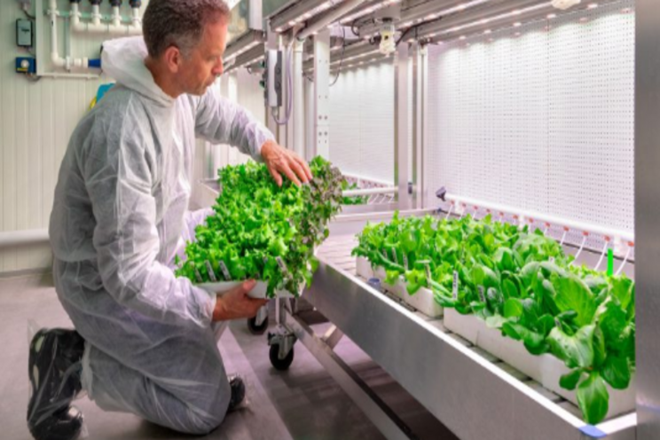 Innovation power for healthy and sustainable vegetable growing