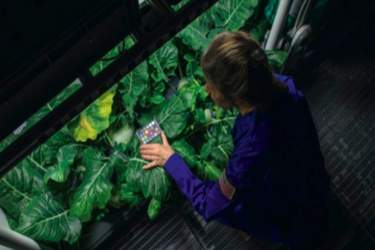 How to grow food in space for human space colonies