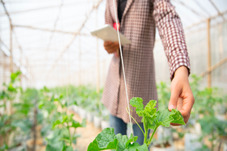 Seoul aims to nurture 1M urban farmers