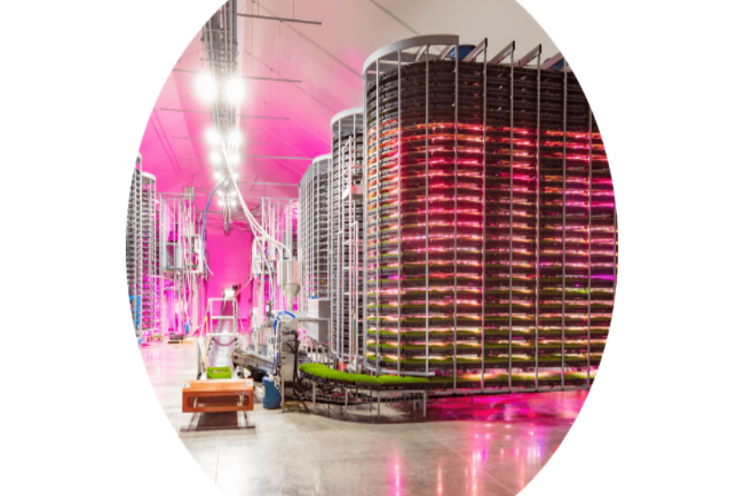 The most advanced indoor vertical farm for animal feed