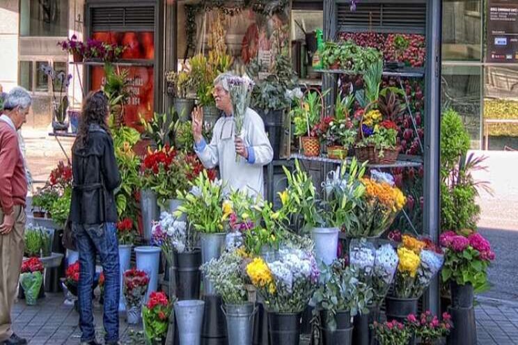 The most popular holiday flowers