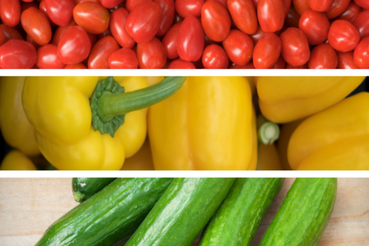 Veggie storage guide: The best way to keep them fresh