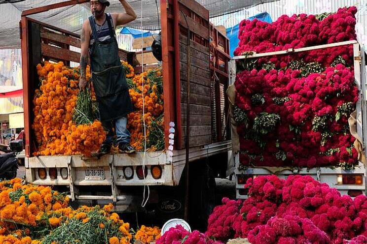 Shuttered cemeteries mean financial ruin for flower farmers