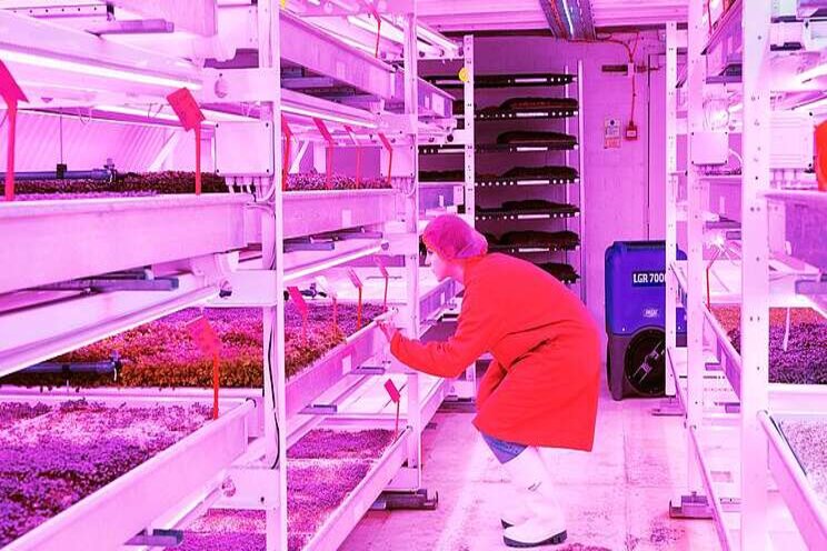 The future of farming is inside this bomb shelter