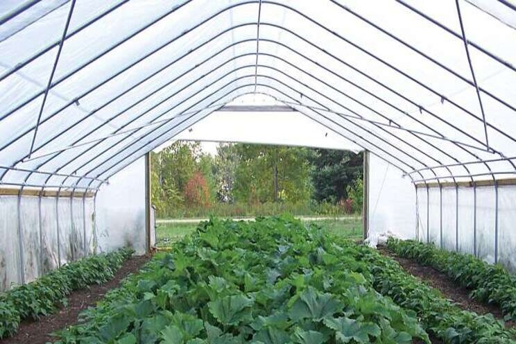 Greenhouse cladding 101