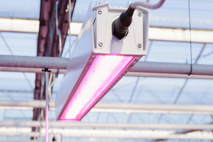 The ideal grow light solution for your cultivation goals