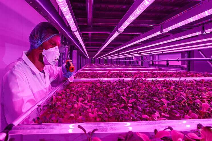 5 questions to answer before starting a vertical farm