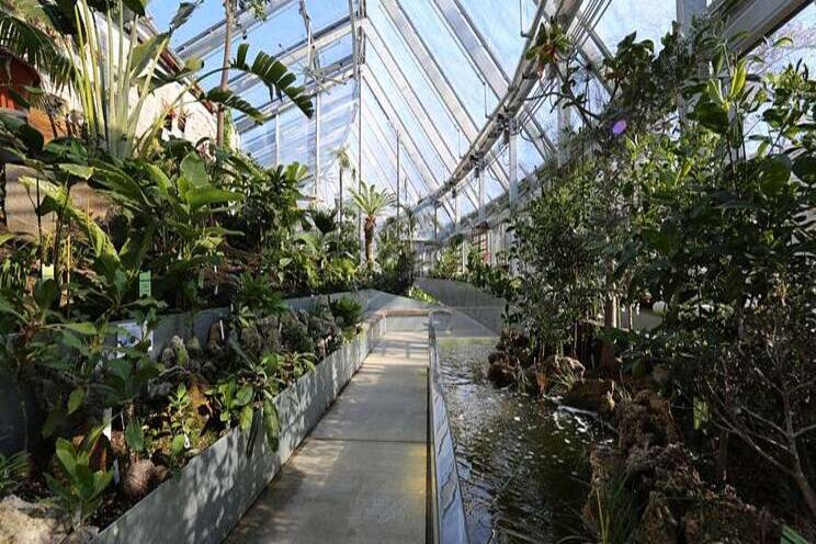 Greenhouse to generate all of its own energy